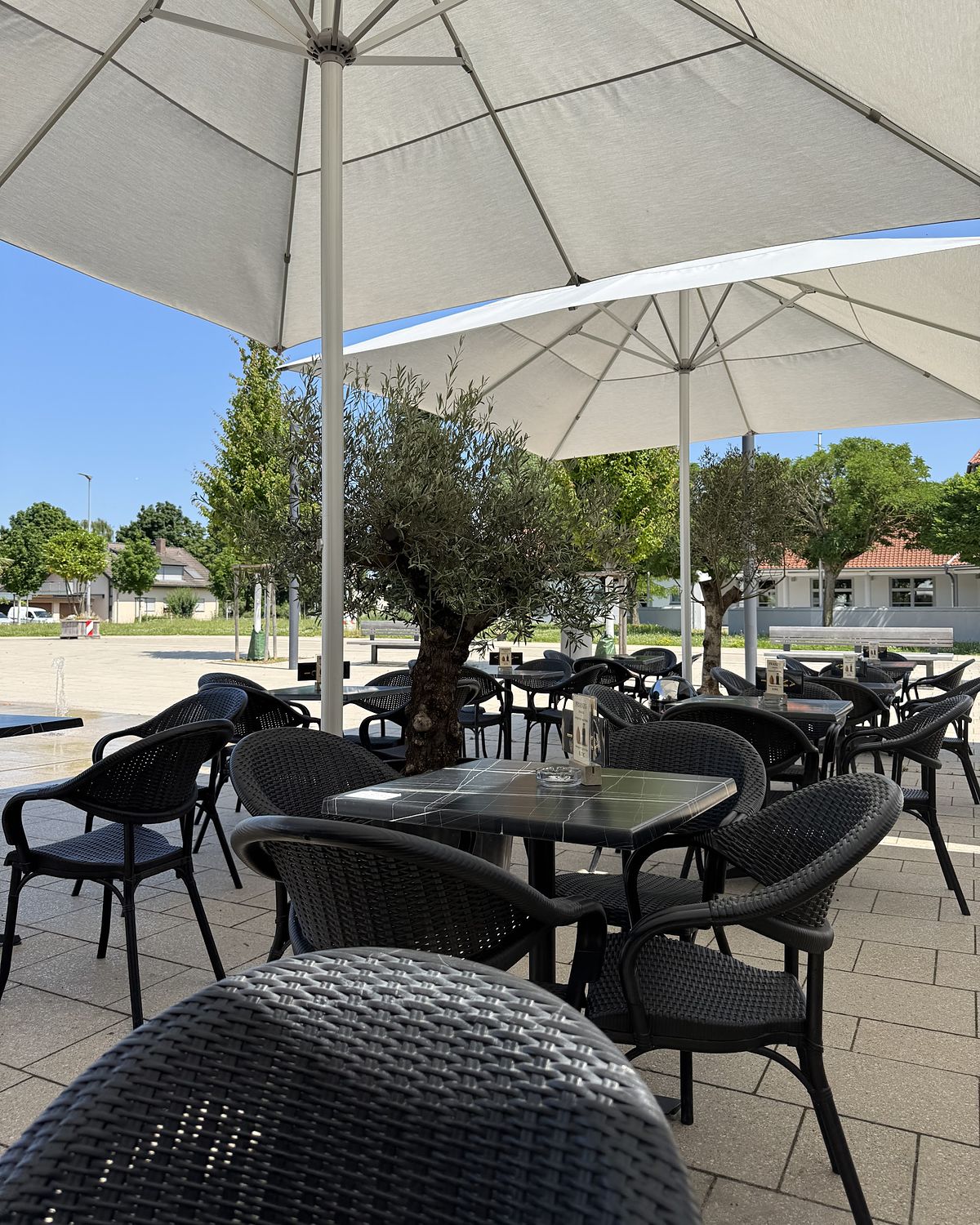 Terrasse von Mustermann mit großen Sonnenschirmen, Olivenbaum und Geflechtstühlen